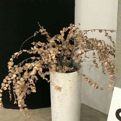 运河FurryQQ群介绍